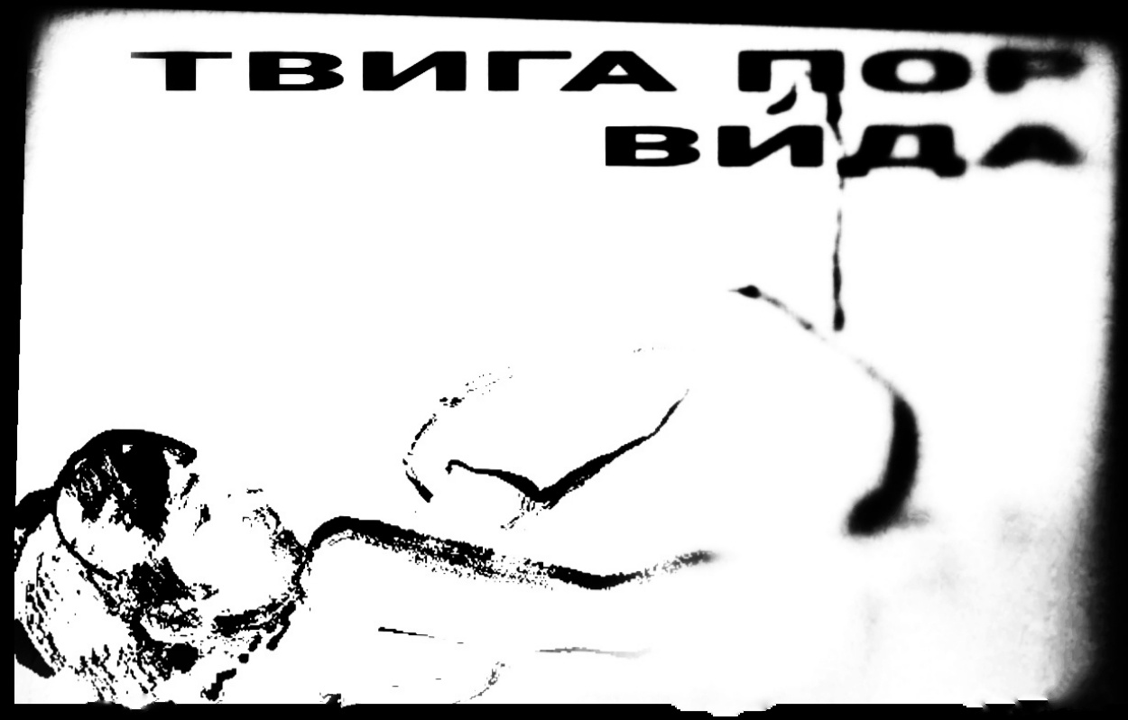 ТВИГА ПОР ВИДА