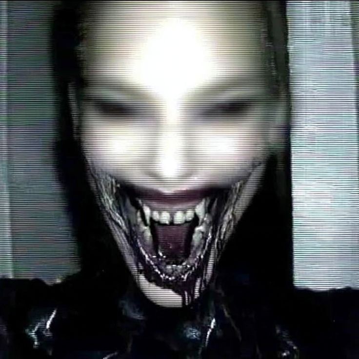 главная фотография